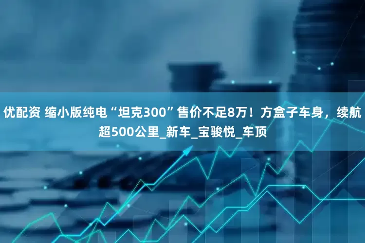 优配资 缩小版纯电“坦克300”售价不足8万！方盒子车身，续航超500公里_新车_宝骏悦_车顶