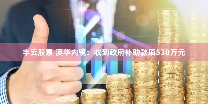 丰云股票 澳华内镜：收到政府补助款项530万元